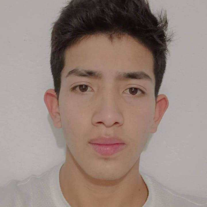 User Image
