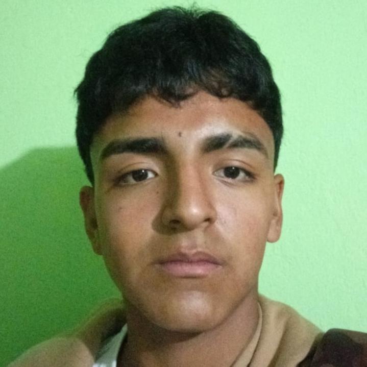 User Image