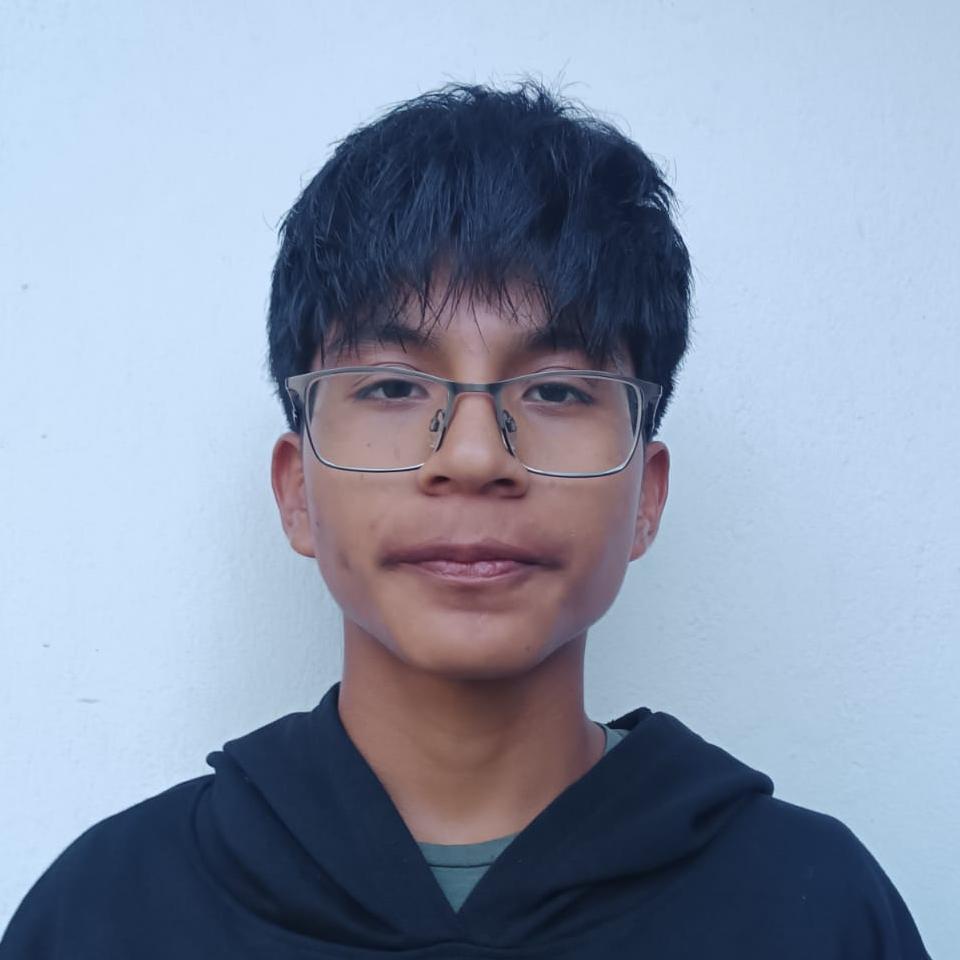User Image